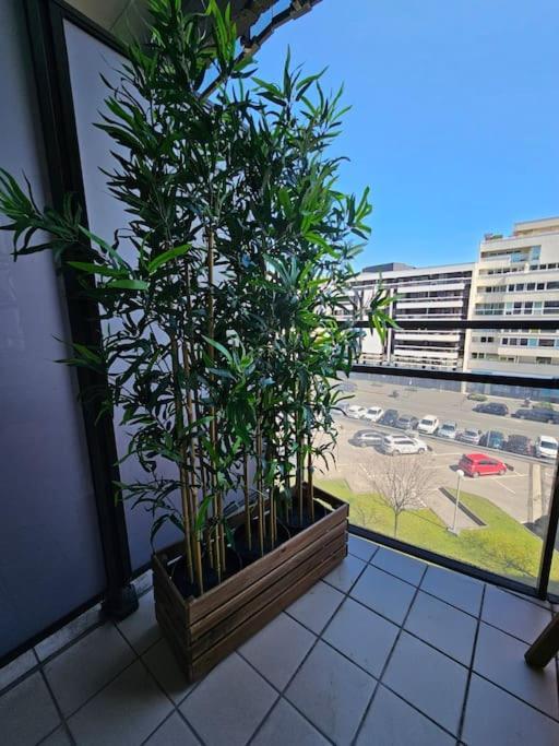 克莱蒙费朗Le 19 #Terrasse#Parking公寓 外观 照片